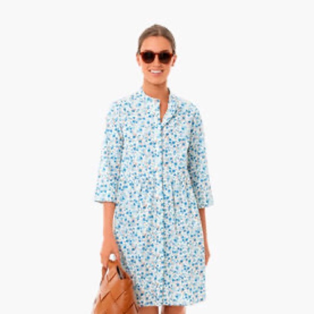 Blue floral tuckernuck dress